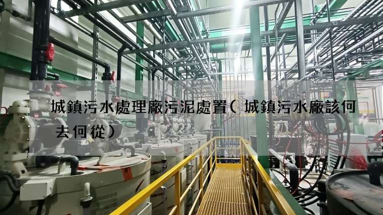 城鎮污水處理廠污泥處置(城鎮污水廠該何去何從)